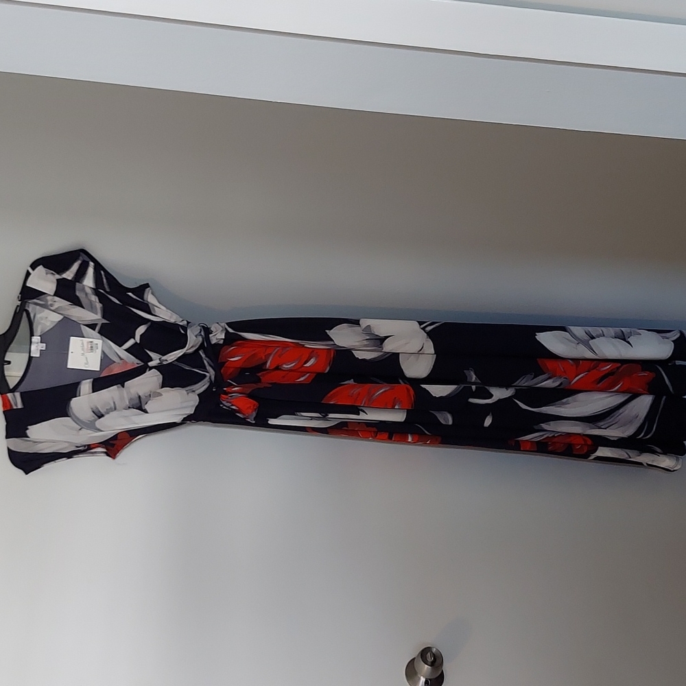Olivia Matthews dress..maxi, belted Blue Red white. Size L NWT
